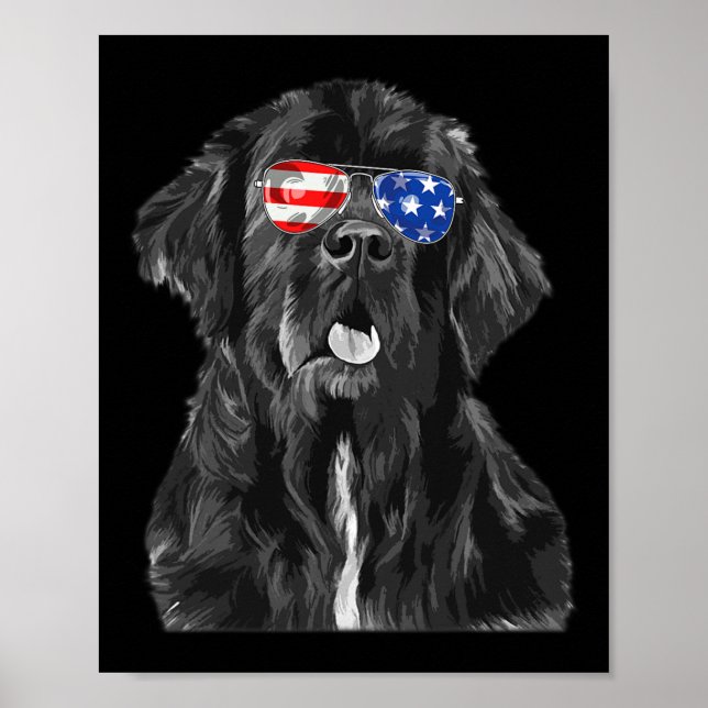Newfoundland Dog Sungles Flag American 4th Of July Poster (Front)