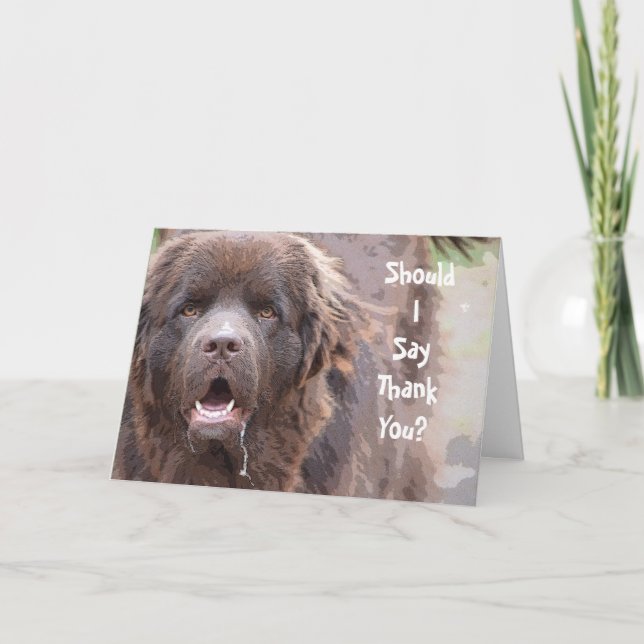 Newfoundland Dog Thank You Card (Front)