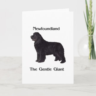 Newfoundland Dog The Gentle Giant Card