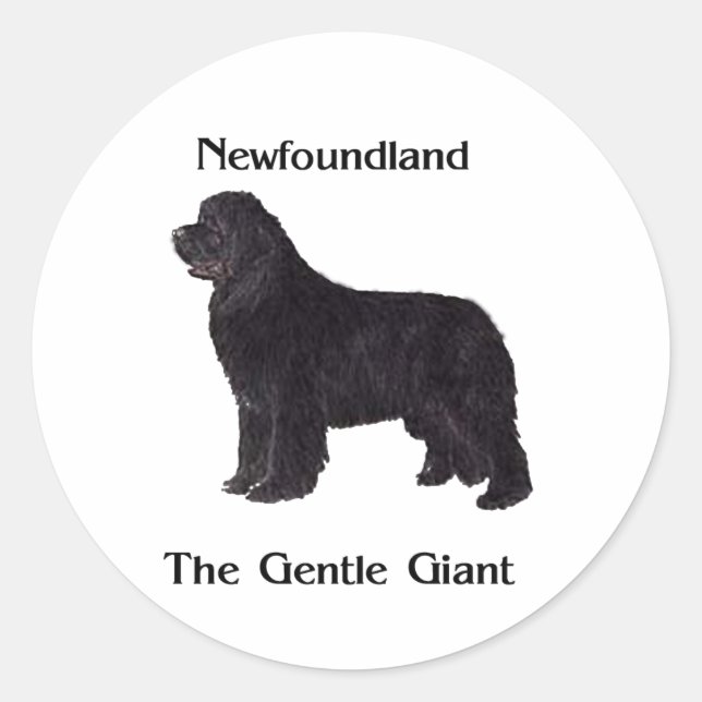 Newfoundland Dog The Gentle Giant Classic Round Sticker (Front)