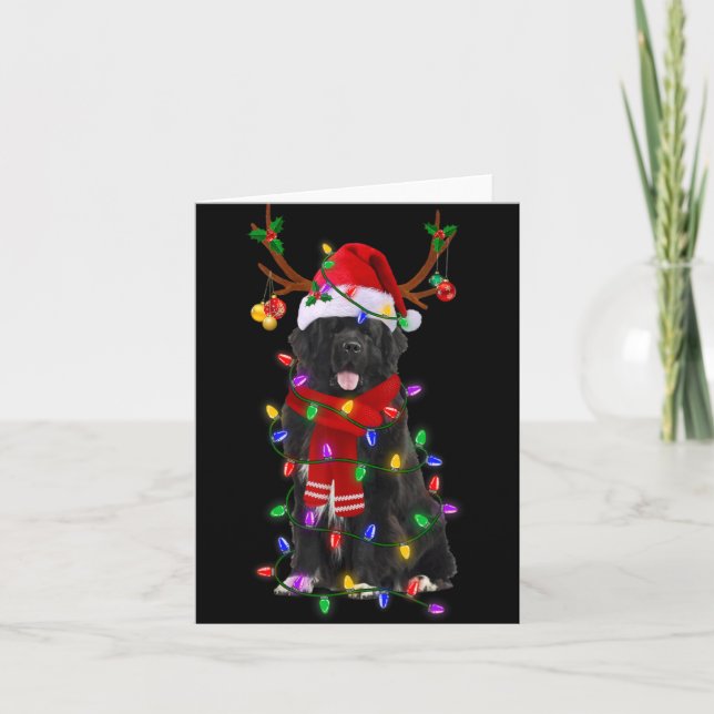Newfoundland Dog Tree Christmas Lights Xmas Pajama Card (Front)