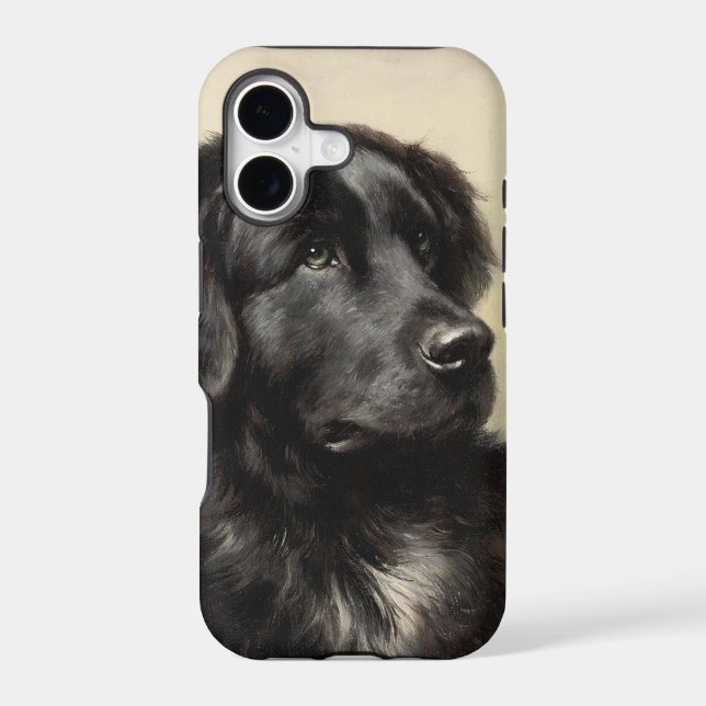 Newfoundland dog vintage realistic paint (Back)