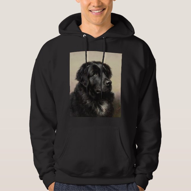 Newfoundland dog vintage realistic paint   hoodie (Front)