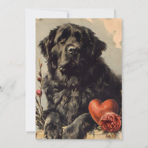 Newfoundland dog Vintage Valentine's day  Holiday Card