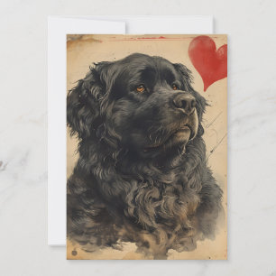 Newfoundland dog Vintage Valentine's day  Holiday Card