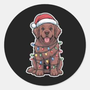 Newfoundland Dog Wrapped In Christmas Lights Classic Round Sticker