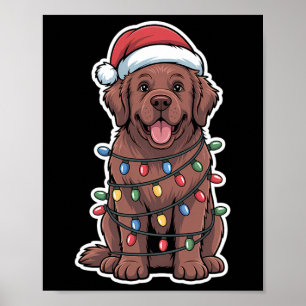 Newfoundland Dog Wrapped In Christmas Lights Poster