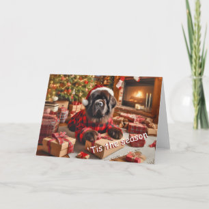 Newfoundland Dog Wrapping Gifts Christmas Card