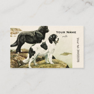 Newfoundland dogs business card