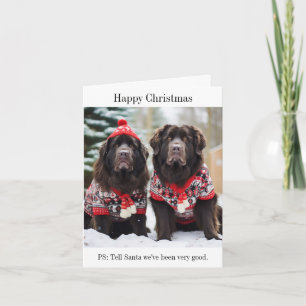 Newfoundland Dogs Christmas Jumpers Card