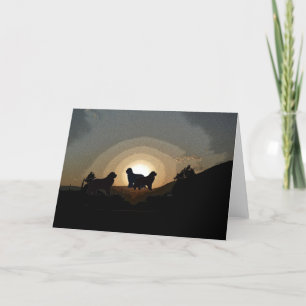 Newfoundland dogs Greeting card