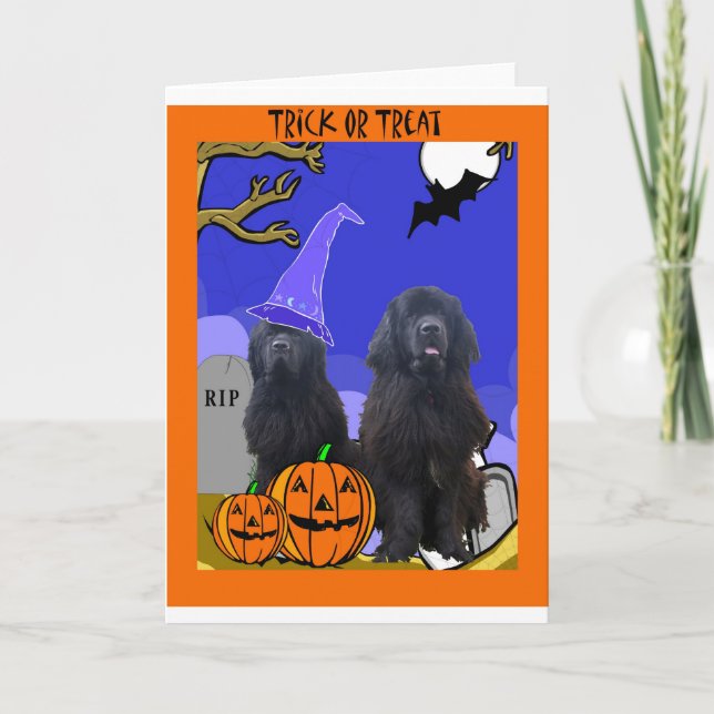 Newfoundland Dogs Halloween Card (Front)