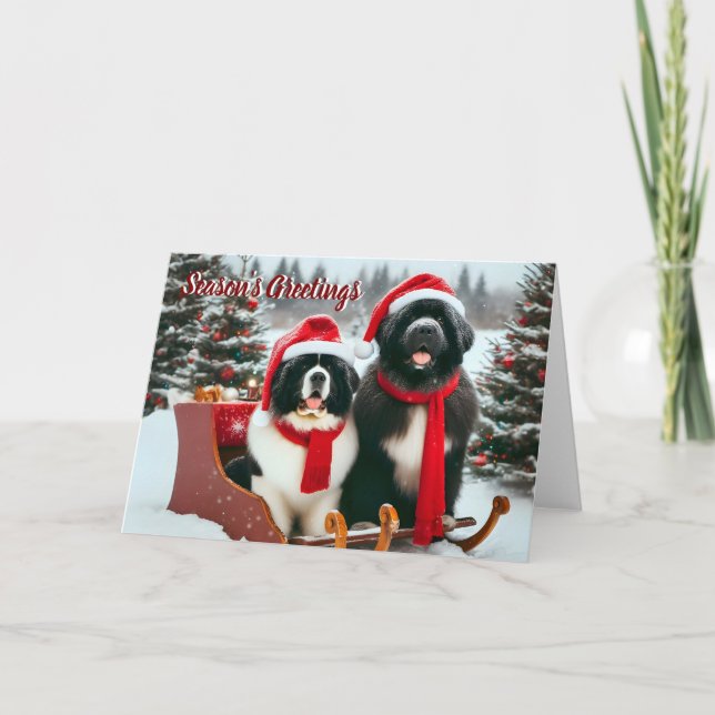 Newfoundland Dogs in Sleigh Christmas Card (Front)