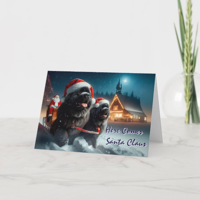Newfoundland Dogs Pulling Santa's Sleigh Card (Front)