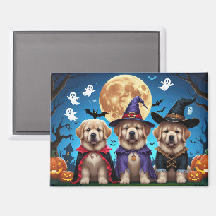 Newfoundland Dogs Pumpkin Halloween Funny  Magnet
