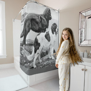 Newfoundland dogs - vintage illustration  shower curtain