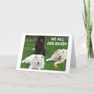 NEWFOUNDLAND DOGS WANT TO SAY "HAPPY BIRTHDAY" CARD