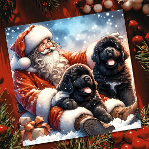 Newfoundland Dogs with Santa Claus Festive Holiday Card