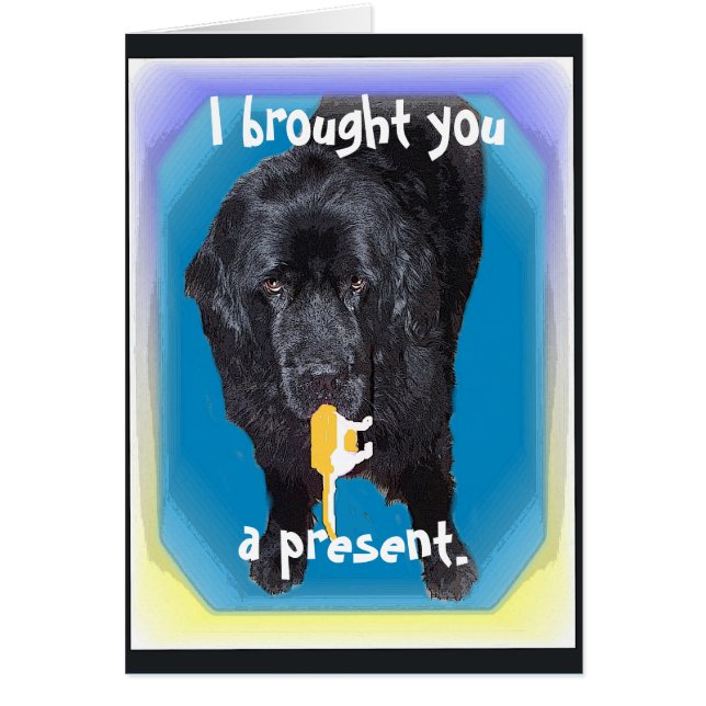 Newfoundland Greeting Gift Card (Front)