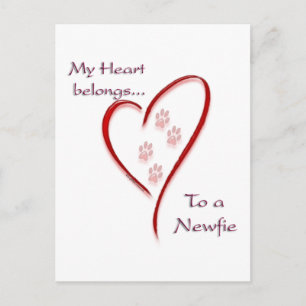 Newfoundland Heart Belongs Postcard