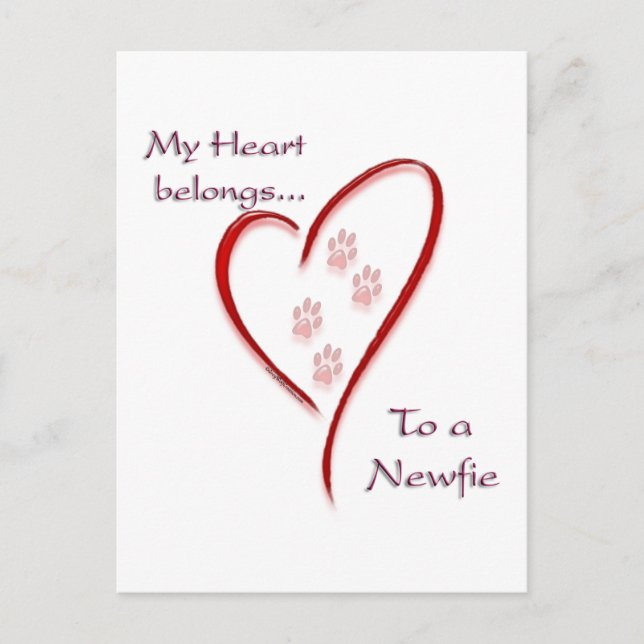 Newfoundland Heart Belongs Postcard (Front)