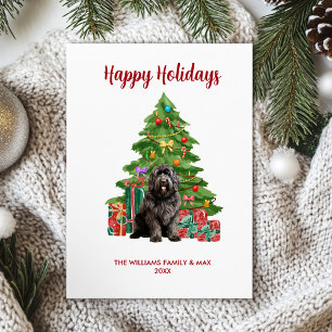 Newfoundland Holiday Card