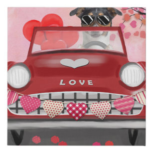 Newfoundland in car with hearts faux canvas print