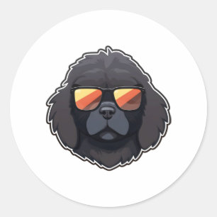 Newfoundland in Cool Sunglasses Classic T-Shirt Round Sticker