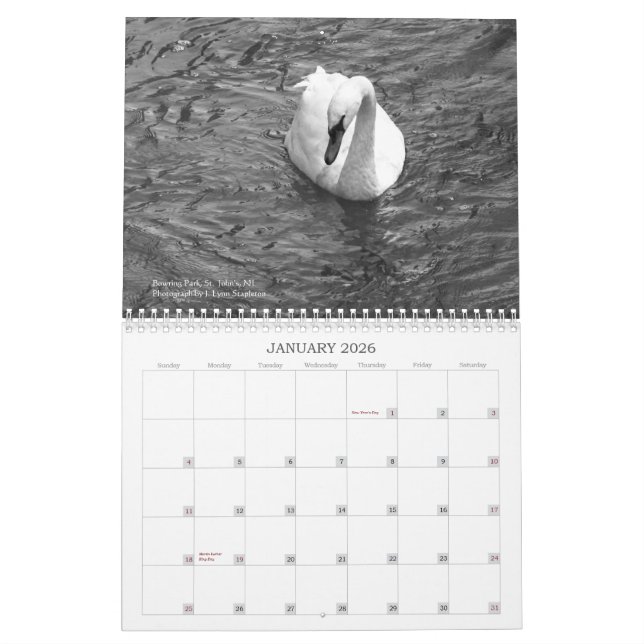 Newfoundland in Pictures: A 2013 Calendar (Jan 2026)