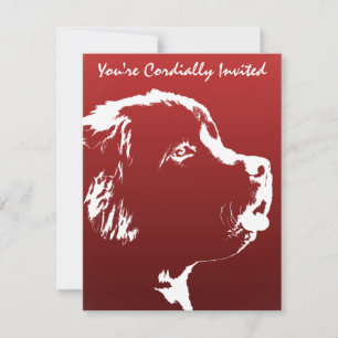 Newfoundland Invitations Personalise Dog RSVP Card