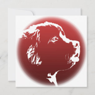 Newfoundland Invitations Personalised Dog Card
