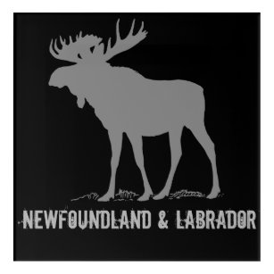 Newfoundland & Labrador Acrylic Print