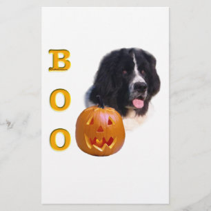 Newfoundland Landseer Halloween Boo