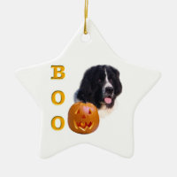 Newfoundland Landseer Halloween Boo