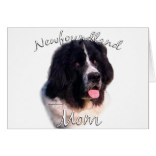 Newfoundland (landseer) Mum 2