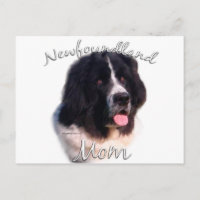 Newfoundland (landseer) Mum 2
