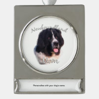 Newfoundland (landseer) Mum 2