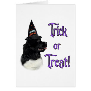 Newfoundland (landseer) Trick