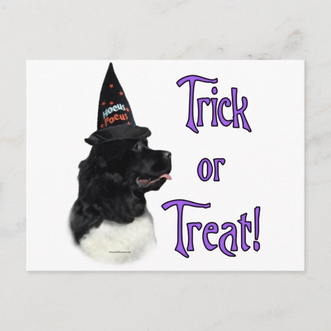 Newfoundland (landseer) Trick Postcard (Front)