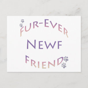 Newfoundland Love at First Lick Postcard