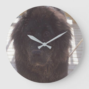 Newfoundland Muddy Puppy Large Clock