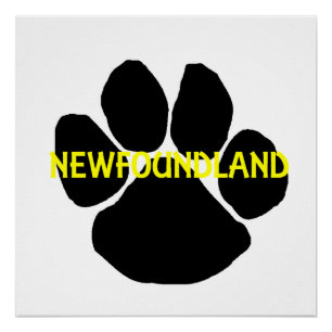newfoundland name paw poster