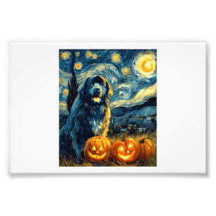 Newfoundland Newfie Cute Dog Halloween Jack O Lant Photo Print