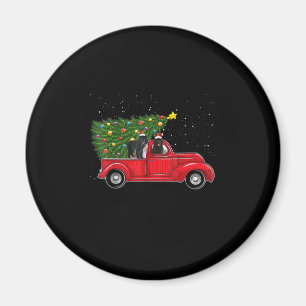 Newfoundland on red car truck xmas gift magnet