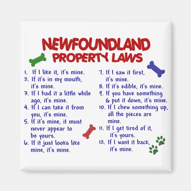 NEWFOUNDLAND Property Laws 2 Magnet (Front)