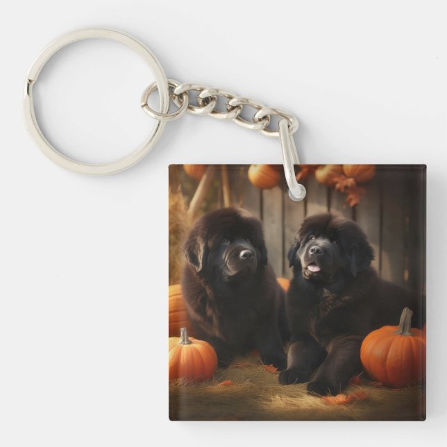 Newfoundland Puppy Autumn Delight Pumpkin Key Ring (Front)