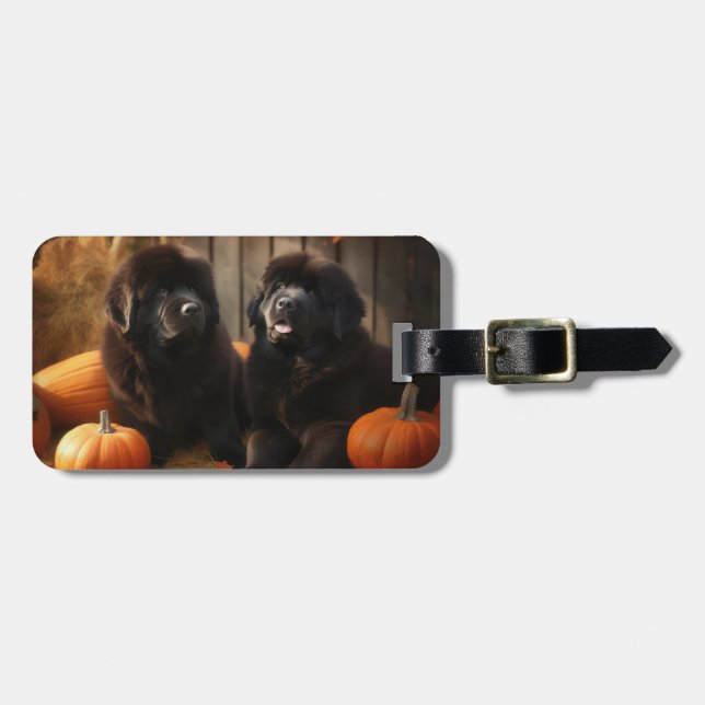 Newfoundland Puppy Autumn Delight Pumpkin Luggage Tag (Front Horizontal)