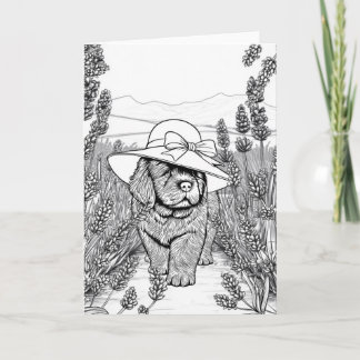 Newfoundland Puppy Dog in a Lavender Flower Field Card