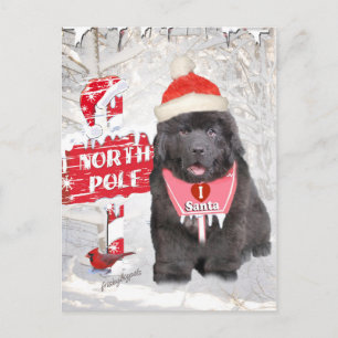 Newfoundland Puppy Loves Santa Cards