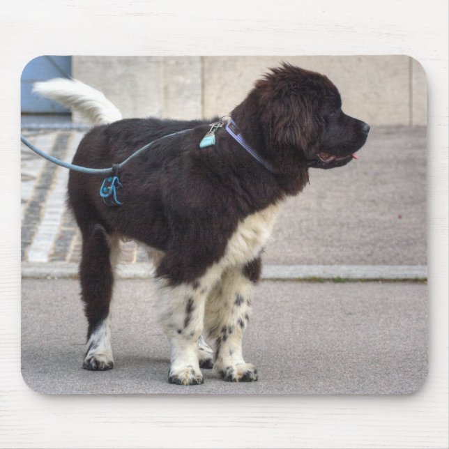 Newfoundland Puppy Mouse Pad (Front)